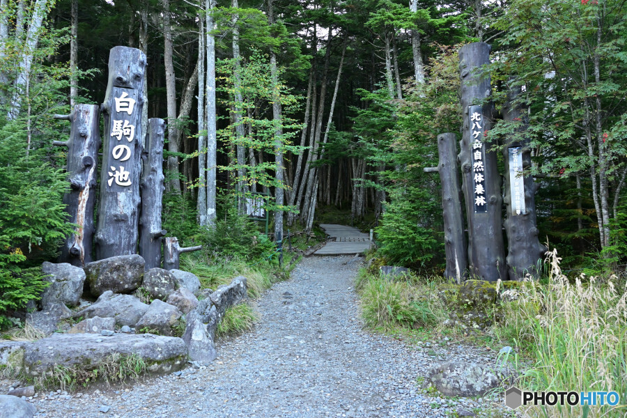白駒池入口