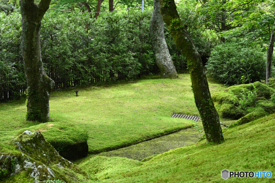 苔庭の最奥部にて