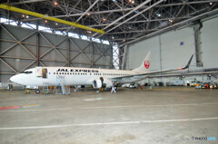 Japan Airlines