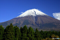 大沢崩れがクッキリと