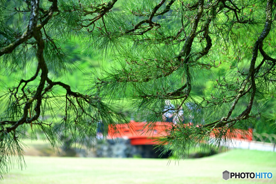 栗林公園にて