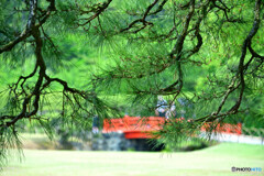 栗林公園にて