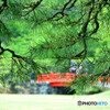 栗林公園にて