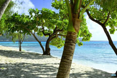 マニャガハ島にて