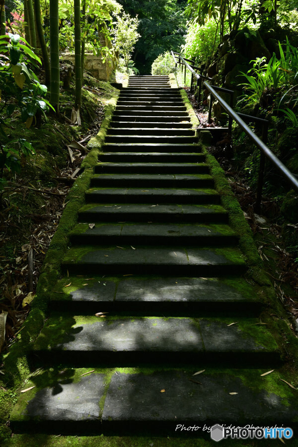 北鎌倉 東慶寺