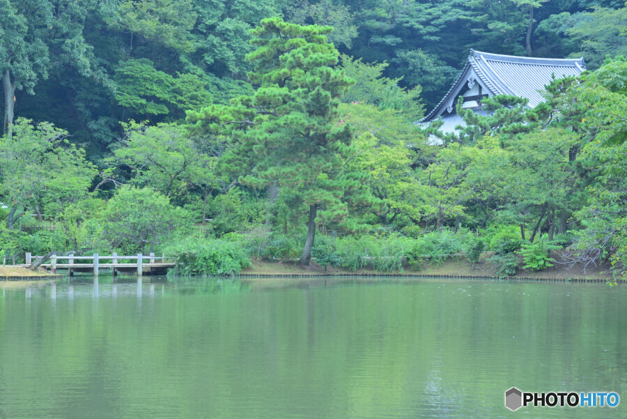 横浜三渓園