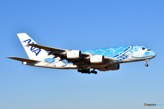 All Nippon Airways
