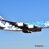 All Nippon Airways