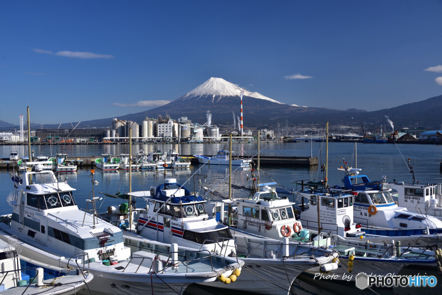 田子の浦漁港にて
