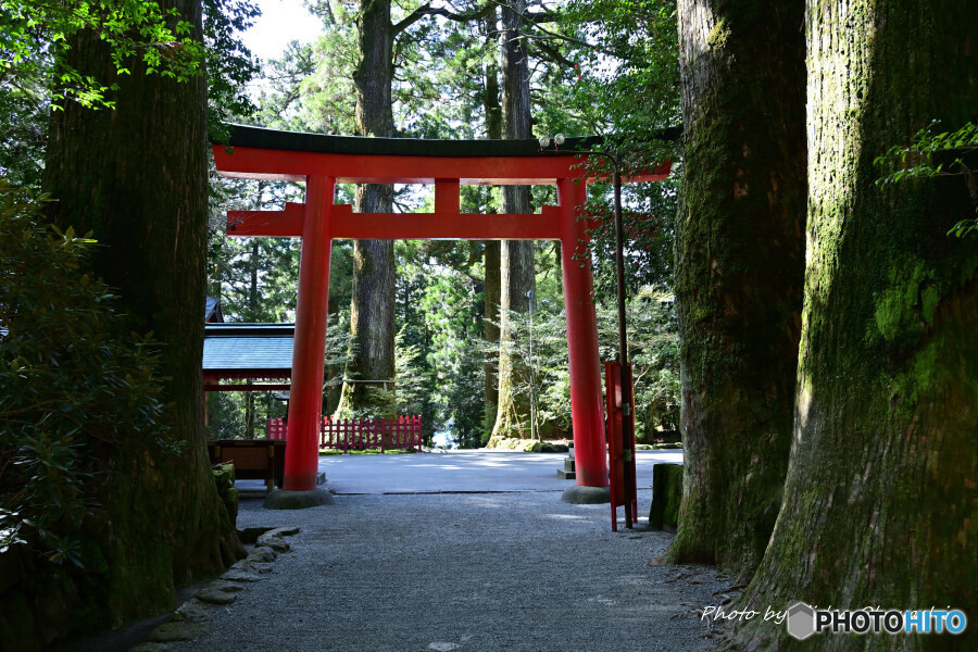 箱根神社 第四鳥居