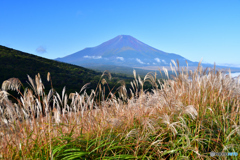 ススキと富士山