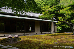 北鎌倉 長寿寺