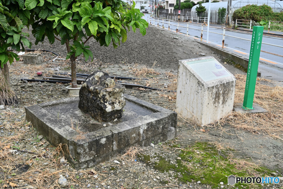 田頭シーサーA