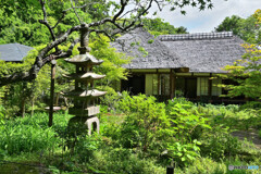 浄智寺