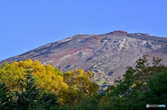 秋の富士山五合目にて