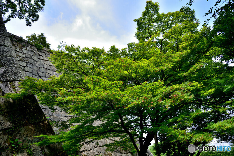 丸亀城　三の丸
