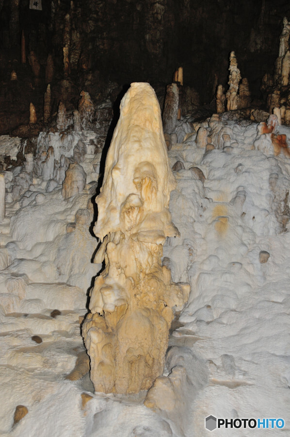 玉泉洞の石筍-1