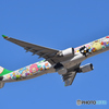 B-16333