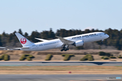 Japan Airlines