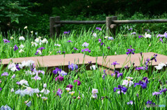 四季の森公園にて