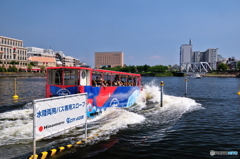 スカイダック