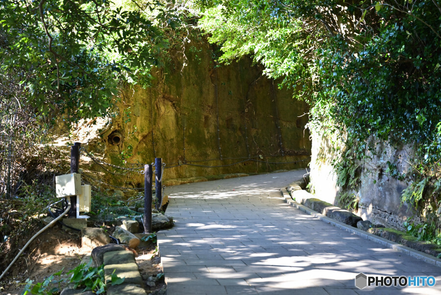 猿島砲台・弾薬庫に続く道