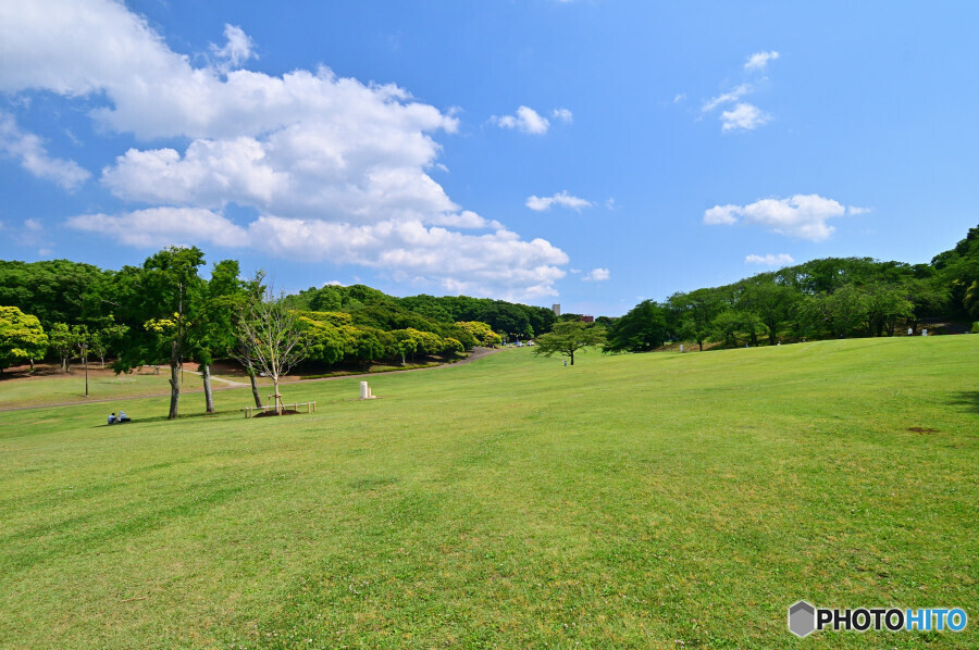 根岸森林公園にて