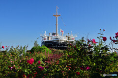 山下公園にて