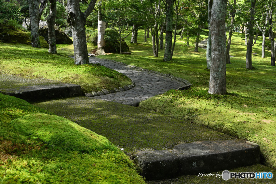 苔庭にて
