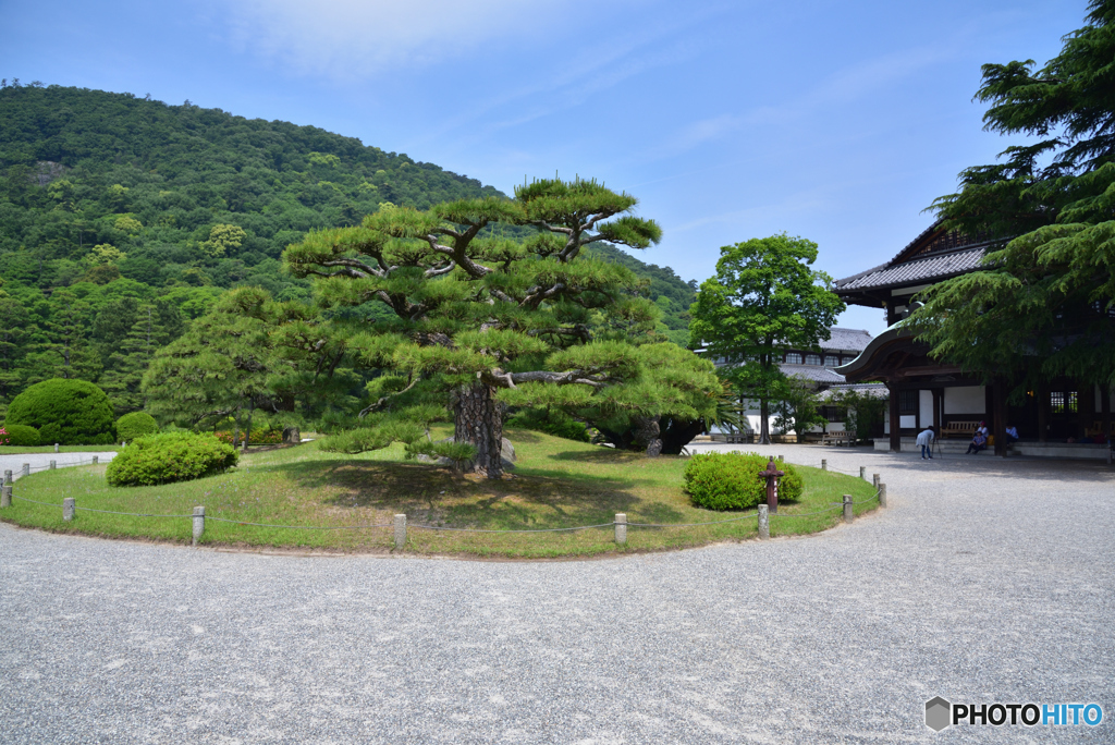 栗林公園