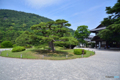 栗林公園