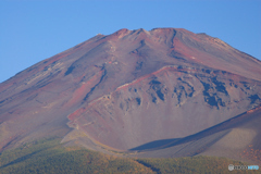 秋の富士山五合目にて