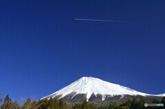 コントレイルと富士山