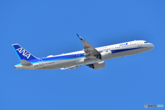 All Nippon Airways