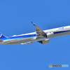 All Nippon Airways