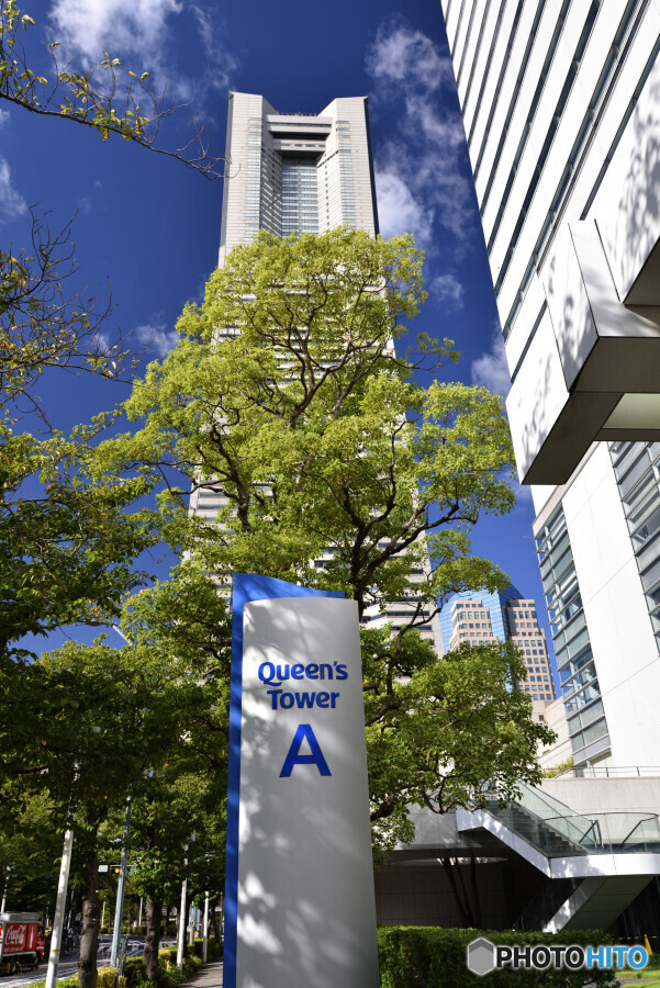 さくら通りにて