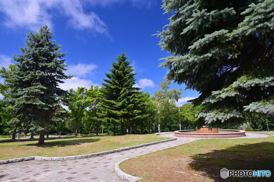 さっぽろ羊ヶ丘展望台