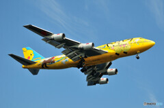 All Nippon Airways