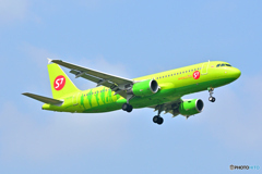 S7 - Siberia Airlines
