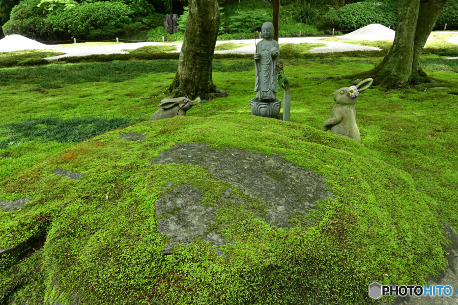 苔むす庭園