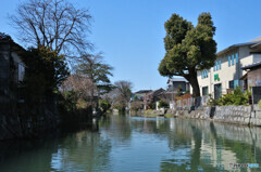 柳川川下りにて