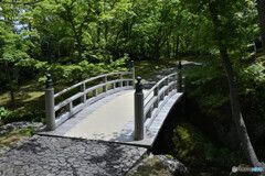 苔庭への入り口