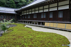 円覚寺大方丈裏手の庭園
