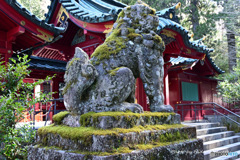 苔むす狛犬