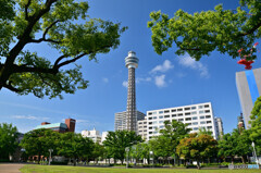 山下公園にて
