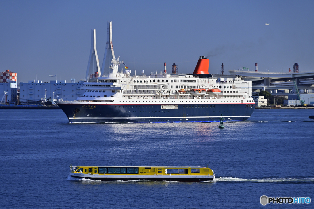にっぽん丸横浜港へ入港-2