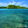 パラオの海でシュノーケリング