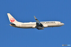Japan Airlines
