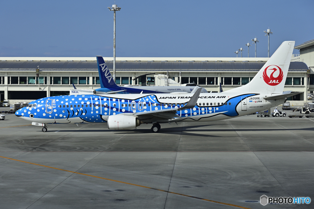 Japan Transocean Air ジンベエジェット