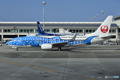 Japan Transocean Air ジンベエジェット
